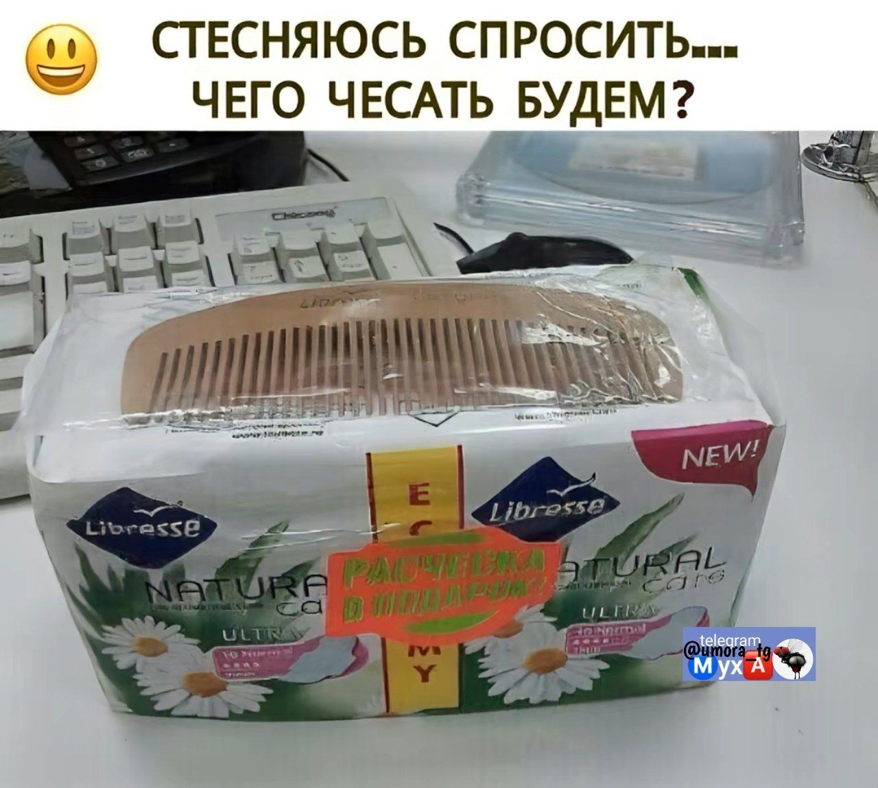 Стесняюсь спросить--- Чего чесать будем?