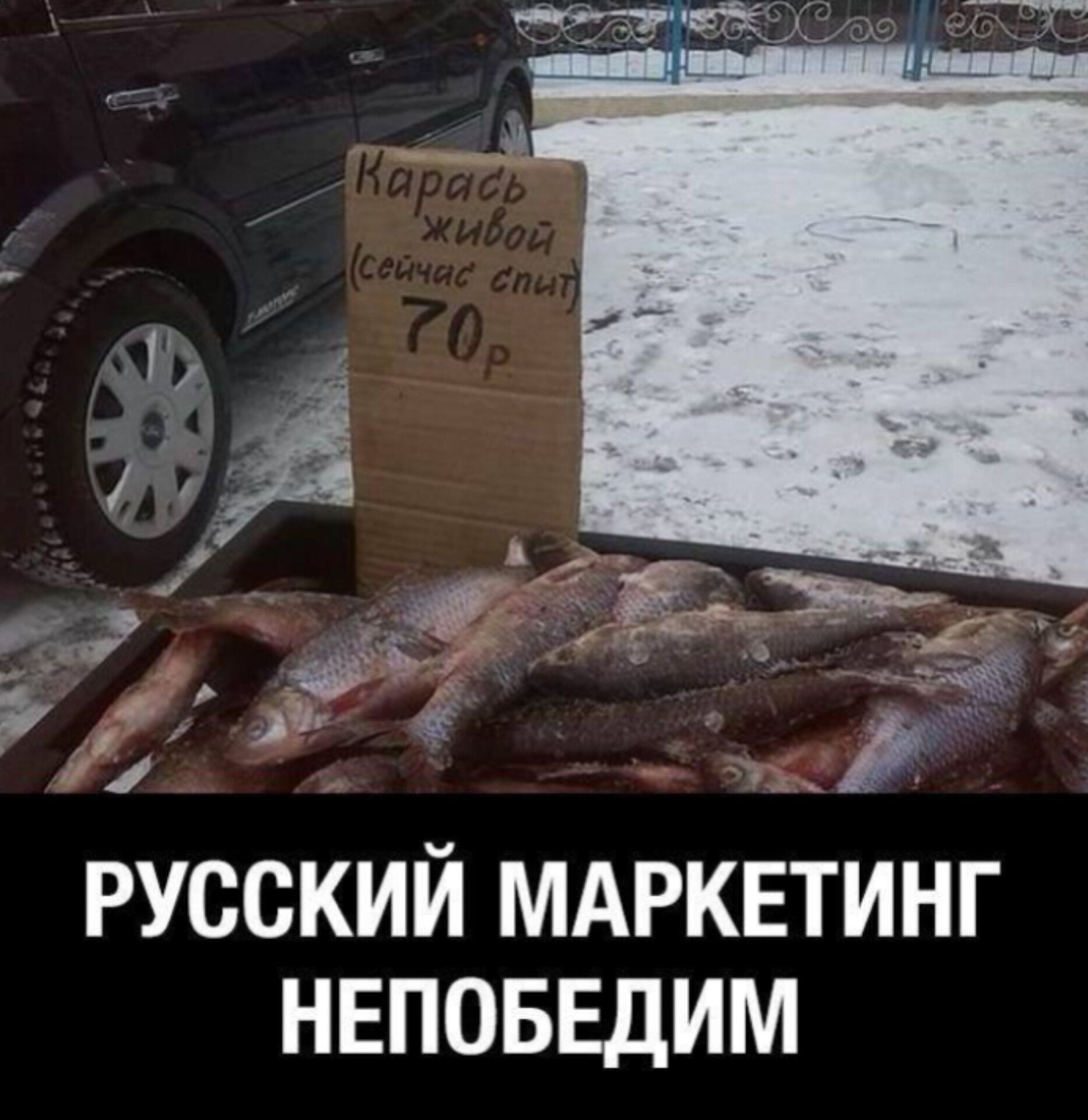 Карась живой (сейчас спит) 70р
РУССКИЙ МАРКЕТИНГ НЕПОБЕДИМ