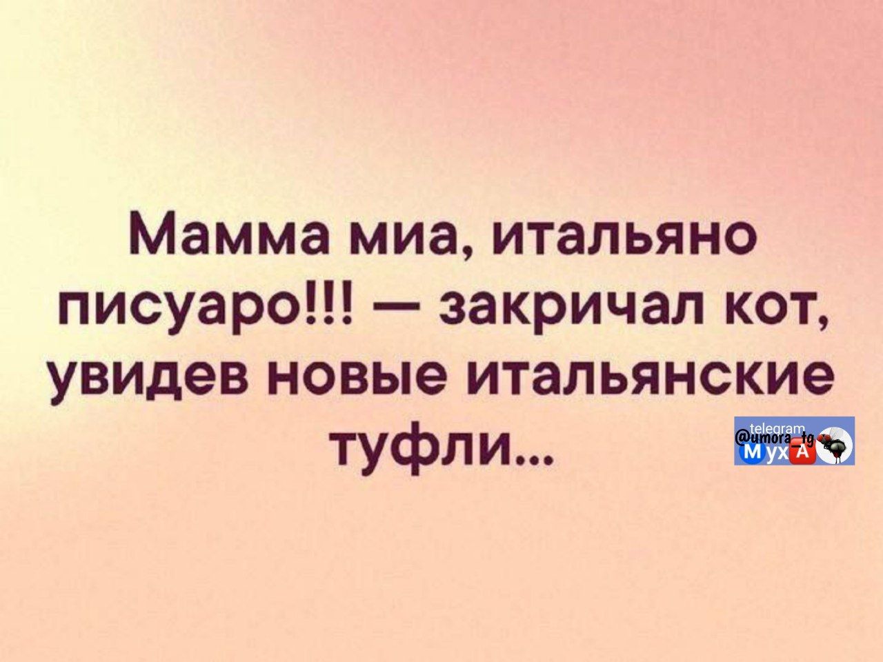 Мамма мия, итальяню писуаро!!! — закричал кот, увидев новые итальянские туфли...