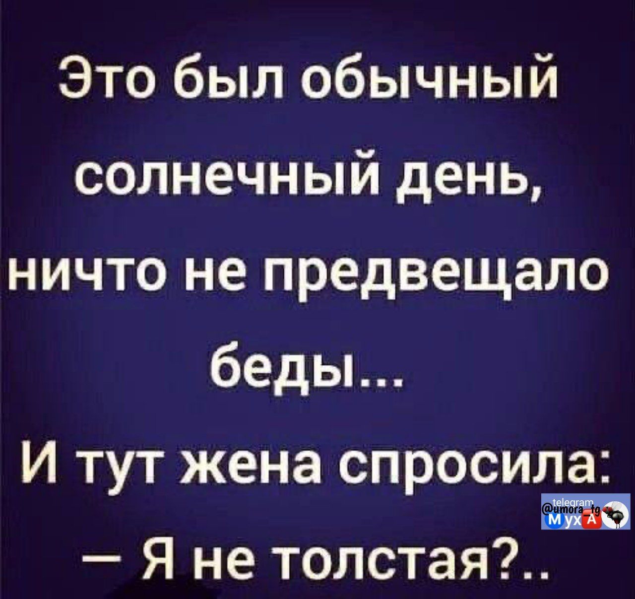 Это был обычный солнечный день, ничто не предвещало беды... И тут жена спросила: — Я не толстая?