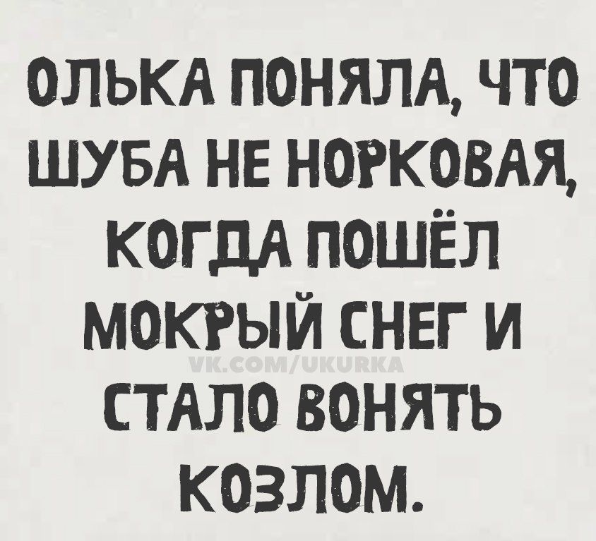 ОЛЬКА ПОНЯЛА, ЧТО ШУБА НЕ НОРКОВАЯ, КОГДА ПОШЁЛ МОКРЫЙ СНЕГ И СТАЛО ВОНЯТЬ КОЗЛОМ.