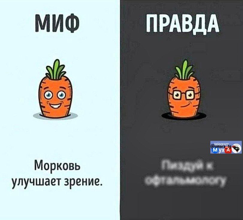 МИФ
Морковь улучшaет зрение.
ПРАВДА
Пизуй к офтальмологу