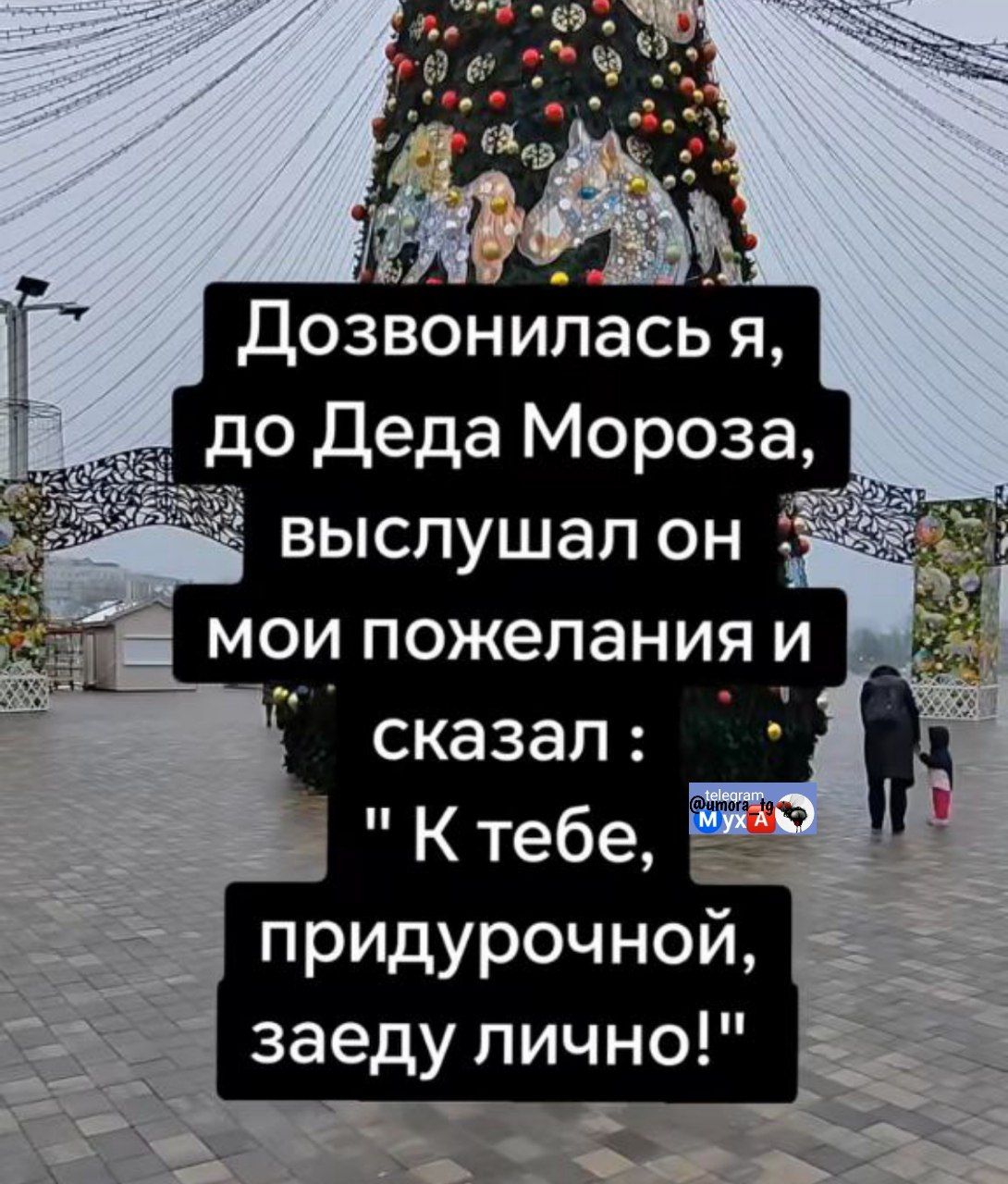 Дозвонилась я, до Деда Мороза, выслушал он мои пожелания и сказал: 