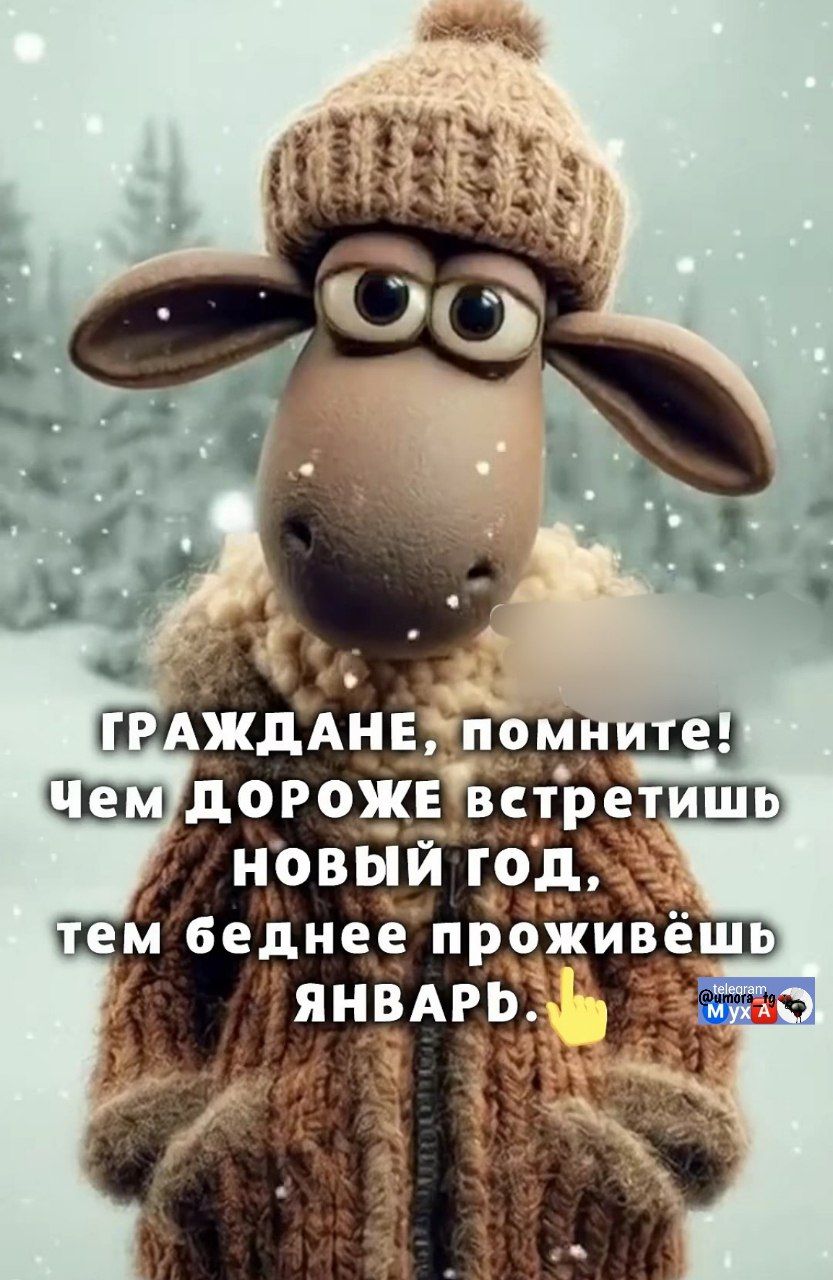 ГРАЖДАНЕ, ПОМНИТЕ! Чем дороже встретишь новый год, тем беднее проживёшь январь.