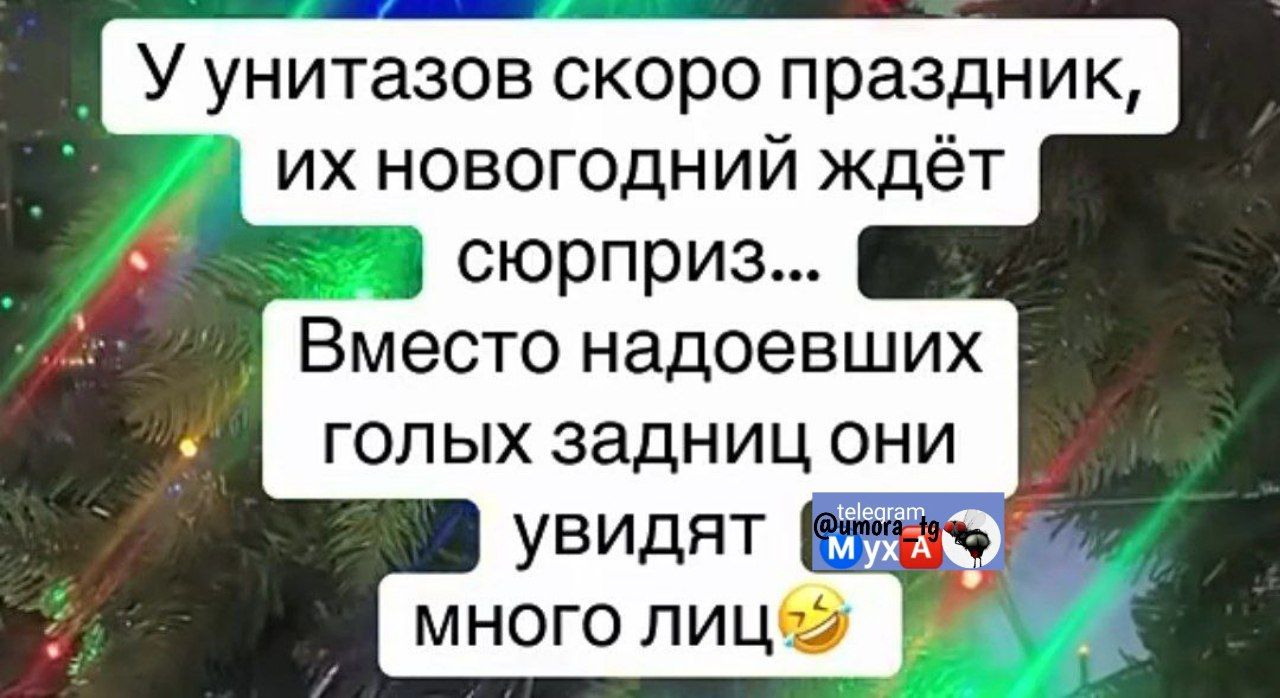 У унитазов скоро праздник, их новогодний ждёт сюрприз... Вместо надевших голых задниц они увидят много лиц