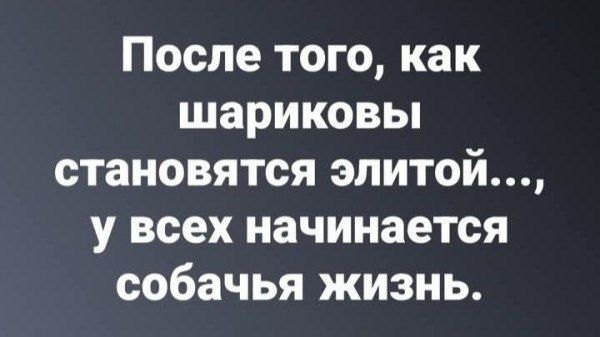 После того, как шариковы становятся элитой..., у всех начинается собачья жизнь.