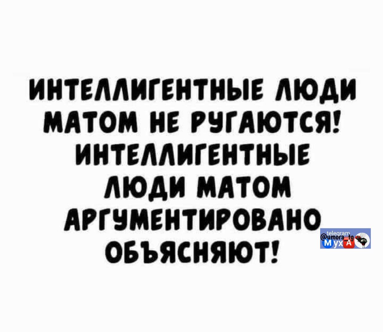 ИНТЕЛЛИГЕНТНЫЕ ЛЮДИ МАТОМ НЕ РУГАЮТСЯ! ИНТЕЛЛИГЕНТНЫЕ ЛЮДИ МАТОМ АРГУМЕНТИРОВАНО ОБЪЯСНЯЮТ!
