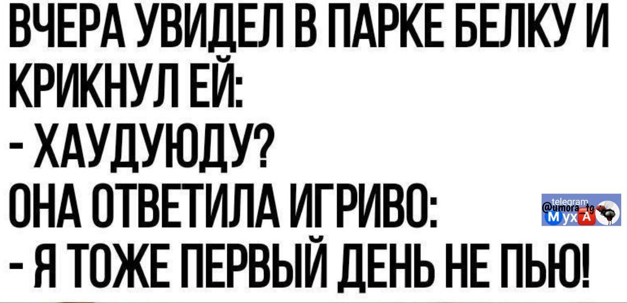 ВЧЕРА УВИДЕЛ В ПАРКЕ БЕЛКУ И КРИКНУЛ ЕЙ: - ХАУДУЮДУ? ОНА ОТВЕТИЛА ИГРИВО: - Я ТОЖЕ ПЕРВЫЙ ДЕНЬ НЕ ПЬЮ!