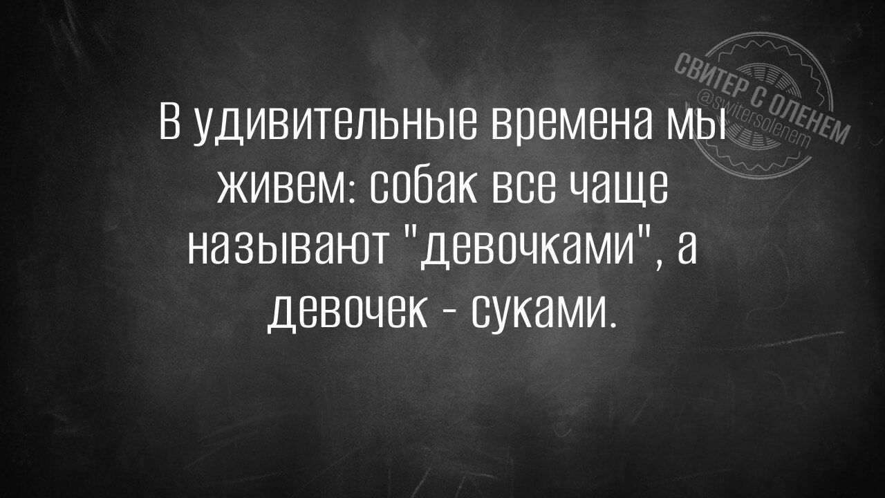 В удивительные времена мы живем: собак все чаще называют 