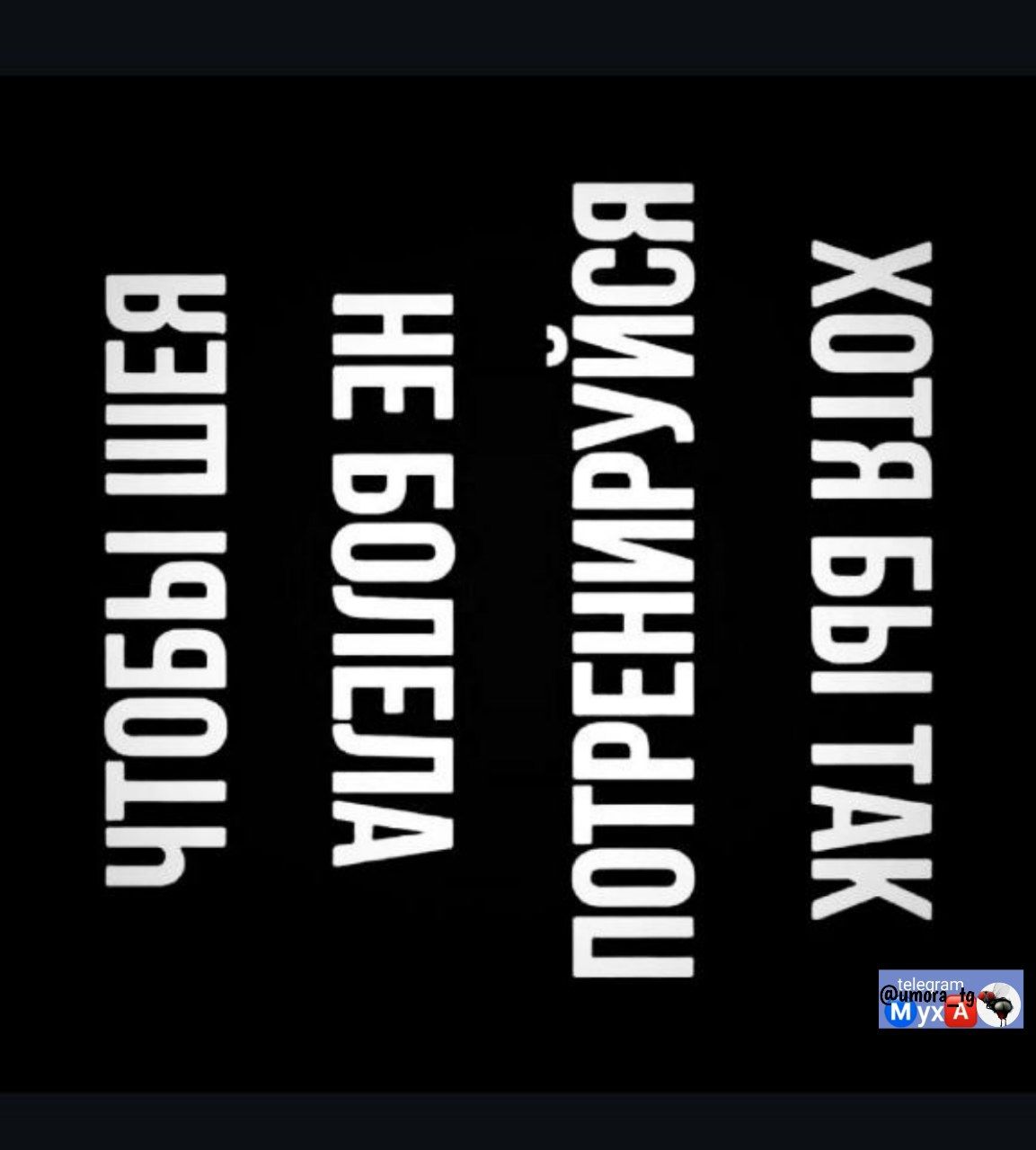 Хохлы бы так не должны попрежнику