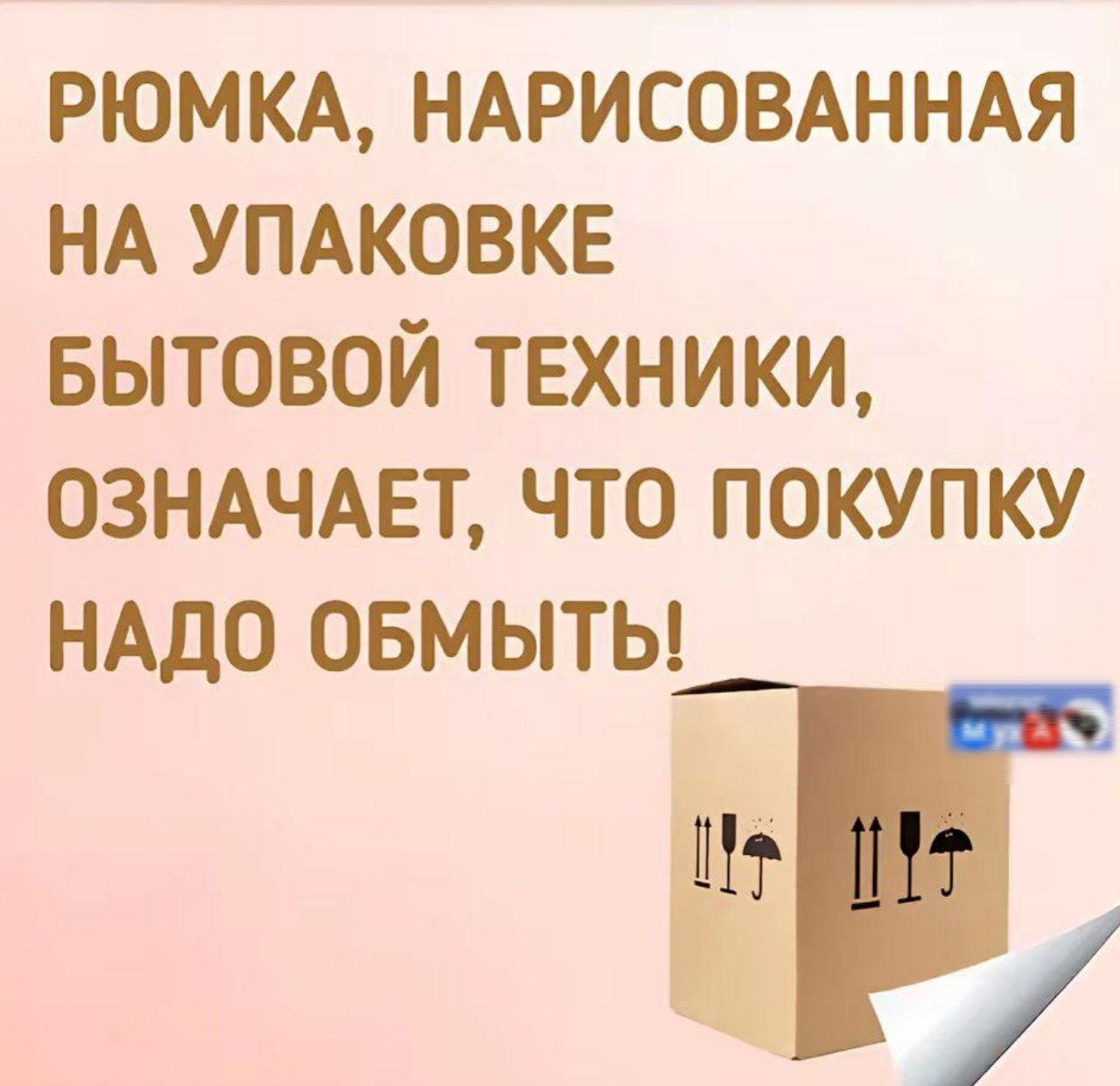 Рюмка, нарисованная на упаковке бытовой техники, означает, что покупку надо обмыть!