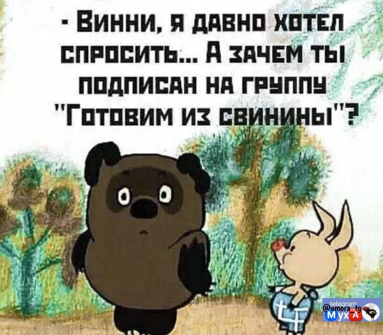 Винни, я давно хотел спросить... А зачем ты подписан на группу 