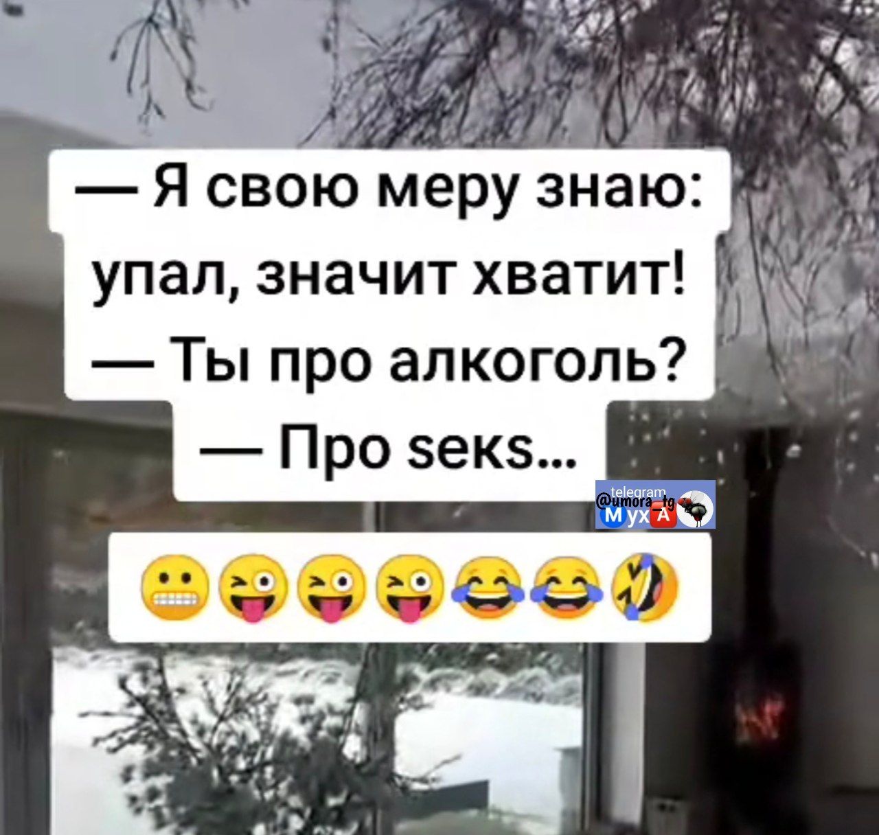 — Я свою меру знаю: упал, значит хватит! — Ты про алкоголь? — Про seks.. 😬😜😛😝😂🤣