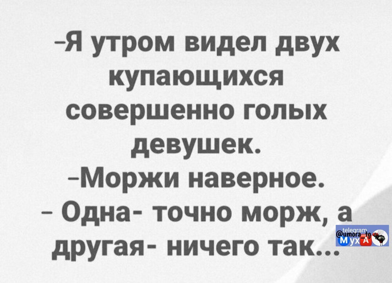 Я утром видел двух купающихся совершенно голых девушек. Моржи наверное. Одна — точно морж, а другая — ничего так...