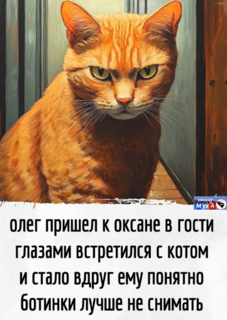 олег пришел к оксане в гости глазами встретился с котом и стало вдруг ему понятно ботинки лучше не снимать