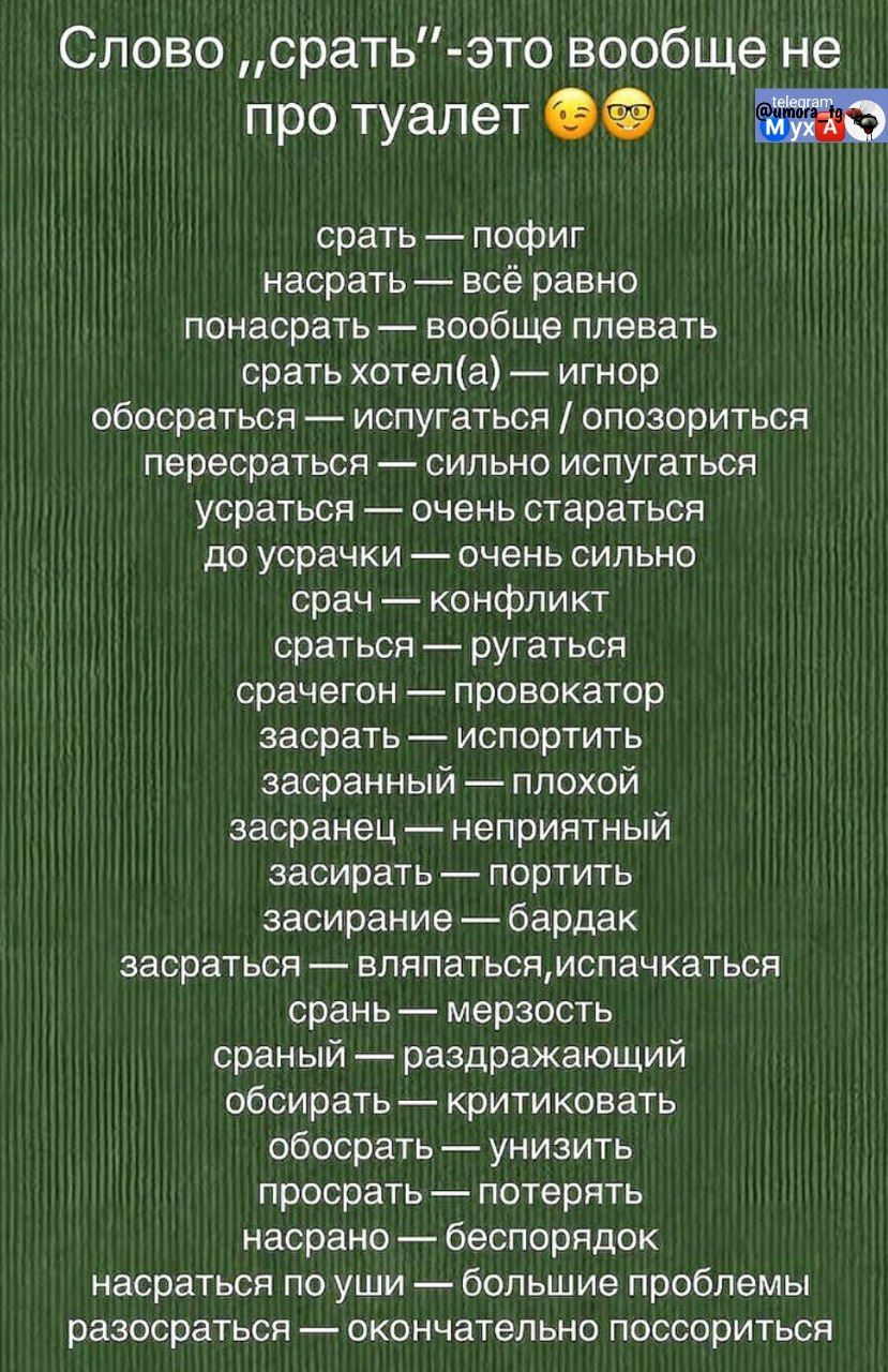 Слово „срать“-это вообще не про туалет 😏😎
срать — погиг
насрать — всё равно
понасрать — вообще плевать
срать хотел(а) — игнор
обосраться — испугаться / опозориться
пересерцать — сильно испугаться
усраться — очень стараться
до усрачки — очень сильно
срач — конфликт