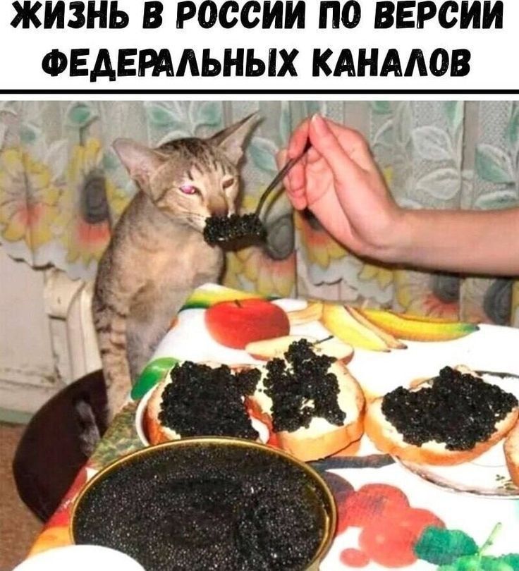 ЖИЗНЬ В РОССИИ ПО ВЕРСИИ ФЕДЕРАЛЬНЫХ КАНАЛОВ