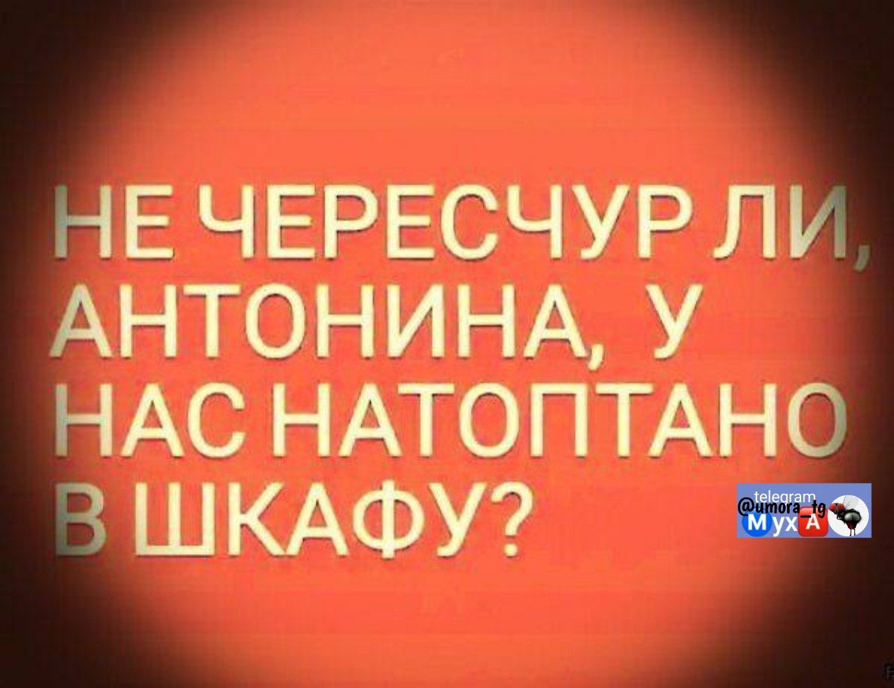 НЕ ЧЕРЕСЧУР ЛИ, АНТОНИНА, У НАС НАТОПТАНО В ШКАФУ?