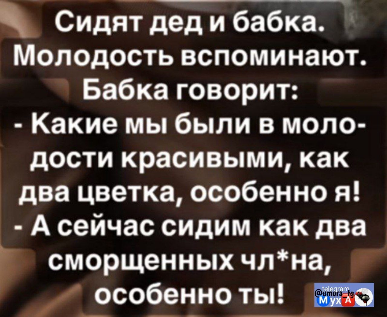 Сидят дед и бабка. Молодость вспоминают. Бабка говорит: - Какие мы были в молодости красивыми, как два цветка, особенно я! - А сейчас sitим как два сморщенных ч*на, особенно ты!