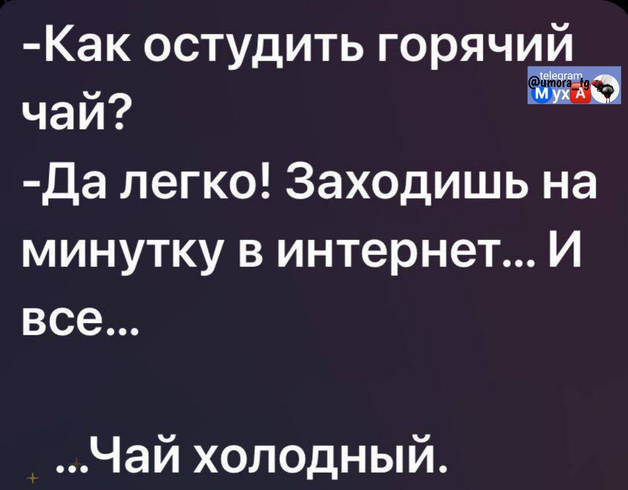 -Как остудить горячий чай?
-Да легко! Заходишь на минутку в интернет... И все...
...Чай холодный.