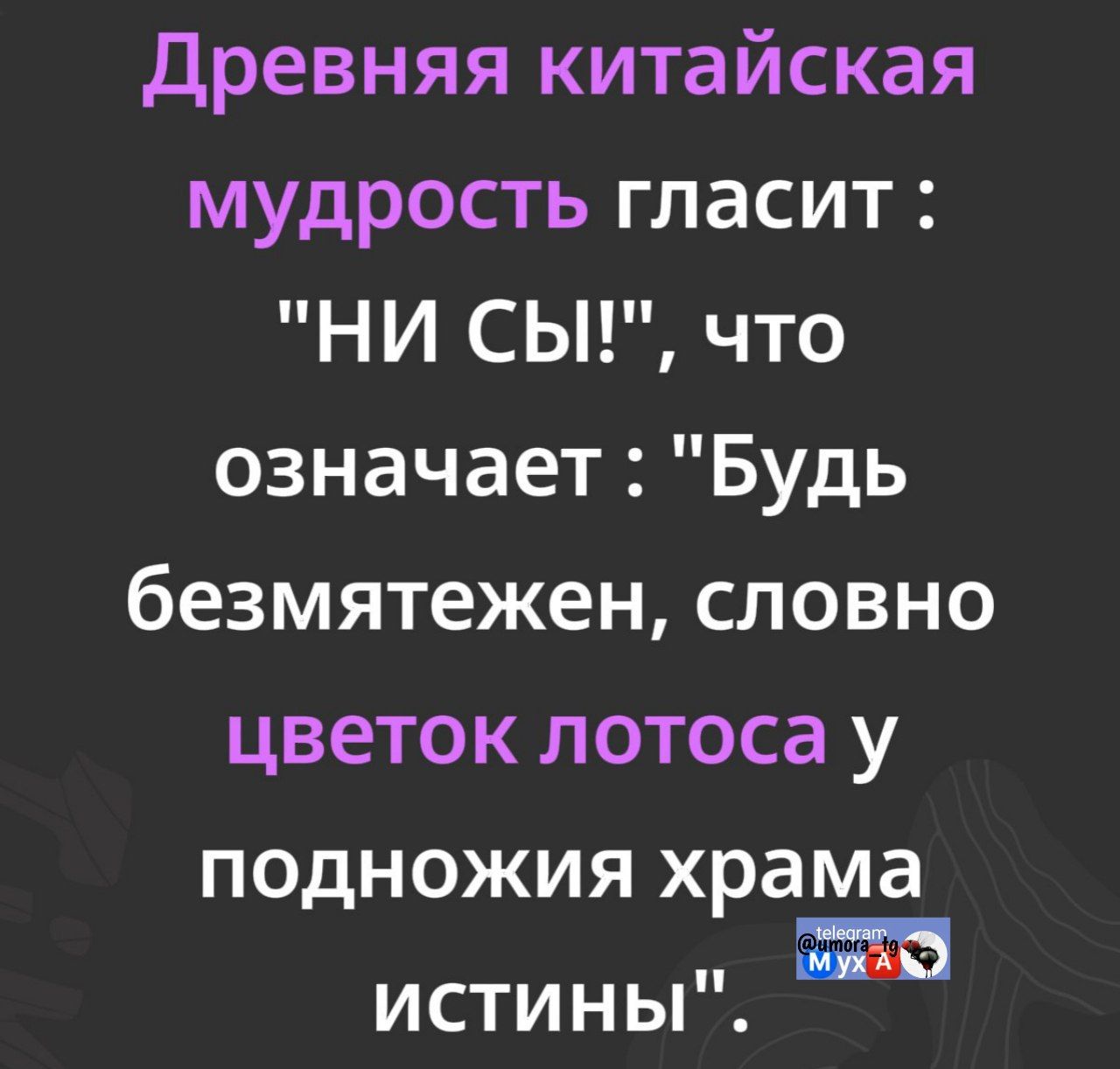Древняя китайская мудрость гласит: 