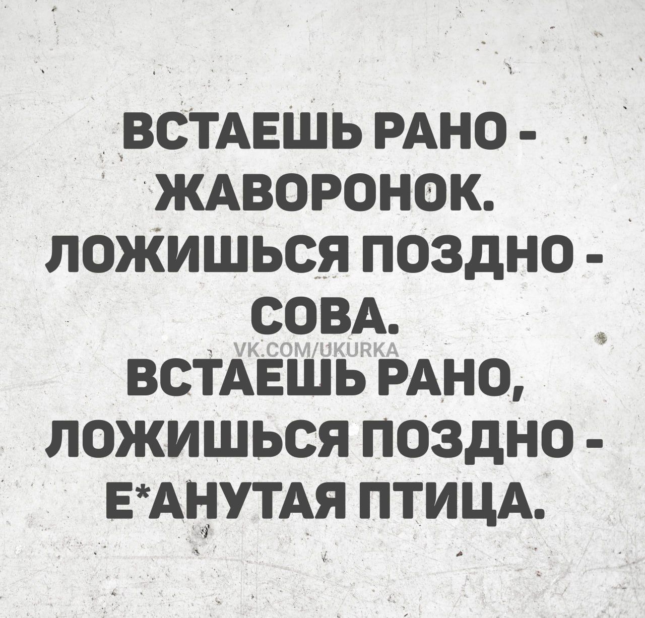 ВСТАЕШЬ РАНО - ЖАВОРОНОК. ЛОЖИШЬСЯ ПОЗДНО - СОBASEBA. ВСТАЕШЬ РАНО, ЛОЖИШЬСЯ ПОЗДНО - Е*АНУТЫАЯ ПТИЦА.