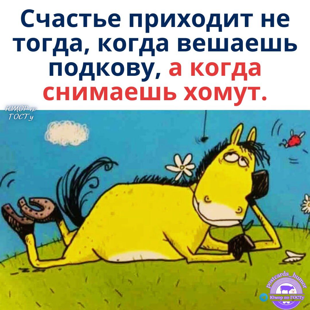 Счастье приходит не тогда, когда вешаешь подкову, а когда снимаешь хамут.
