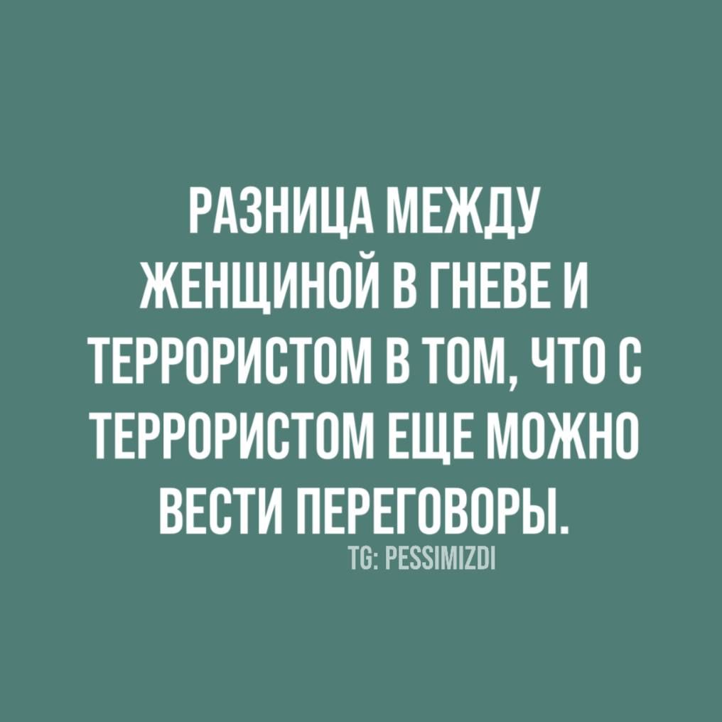 Разница между женщиной в гневе и террористом в том, что с террористом еще можно вести переговоры.