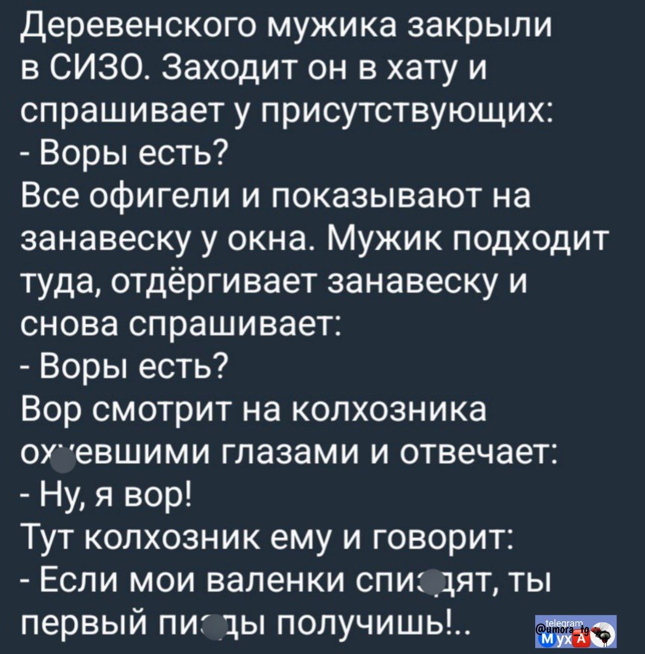 Деревенского мужика закрыли в СИЗО. Заходит он в хату и спрашивает у присутствующих: - Воры есть? Все офигели и показывают на занавеску у окна. Мужик подходит туда, отдёргивает занавеску и снова спрашивает: - Воры есть? Вор смотрит на колхозника ошившими глазами и отвечает: - Ну, я вор! Тут колхозник ему и говорит: - Если мои валенки спишут, ты первый получишь!