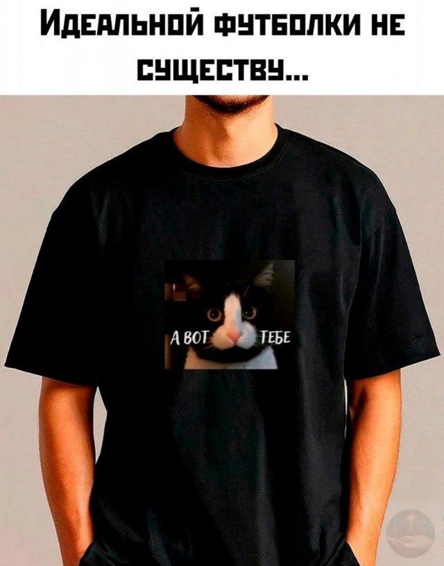 ИДЕАЛЬНОЙ ФУТБОЛКИ НЕ СУЩЕСТВУЕТ... А ВОТ ТЕБЕ