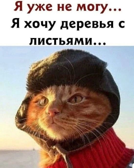Я уже не могу... Я хочу деревья с листьями...