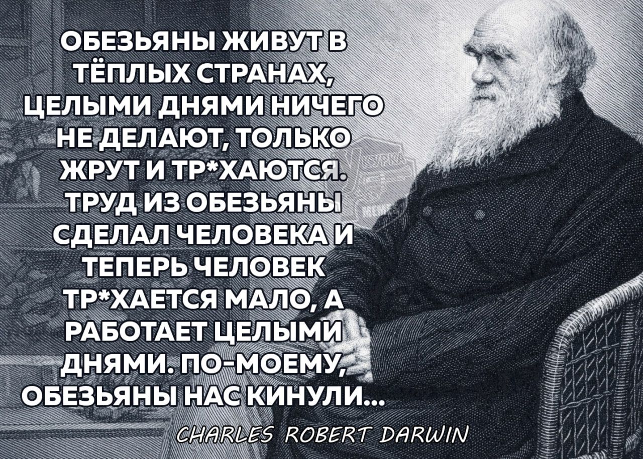 ОБЕЗЬЯНЫ ЖИВУТ В ТЁПЛЫХ СТРАНАХ, ЦЕЛЫМИ ДНЯМИ НИЧЕГО НЕ ДЕЛАЮТ, ТОЛЬКО ЖРУТ И ТР*ХАЮТСЯ. ТРУД ИЗ ОБЕЗЬЯНЫ СДЕЛАЛ ЧЕЛОВЕКА И ТЕПЕРЬ ЧЕЛОВЕК ТР*ХАЕТСЯ МАЛО, А РАБОТАЕТ ЦЕЛЫМИ ДНЯМИ. ПО-МОЕМУ, ОБЕЗЬЯНЫ НАС КИНУЛИ...