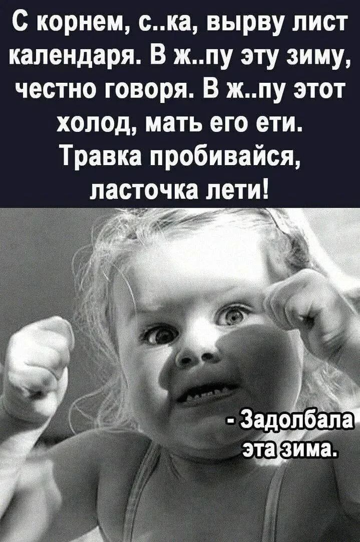 С корнем, с..ка, вырву лист календаря. В ж..пу эту зиму, честно говоря. В ж..пу этот холод, мать его ели. Травка пробивайся, ласточка лети! - Задолбала эта зима.