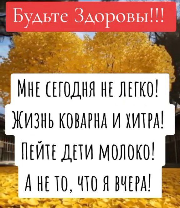 Будьте Здоровы!!!
МНЕ СЕГОДНЯ НЕ ЛЕГКО!
ЖИЗНЬ КОВАРНА И ХИТРА!
ПЕЙТЕ ДЕТИ МОЛОКО!
А НЕ ТО, ЧТО Я ВЧЕРА!