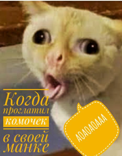 пшг итп в своей манка