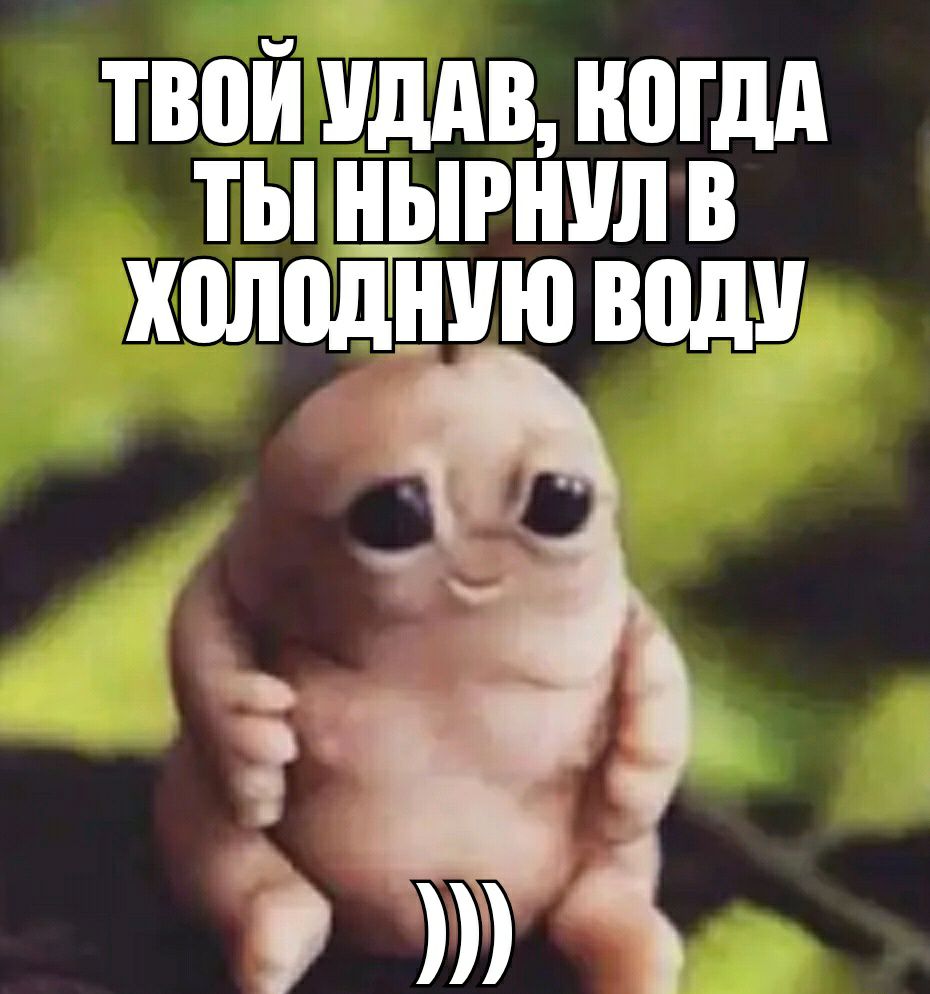 твой иддв ногдд ты нырнул в холодную воду