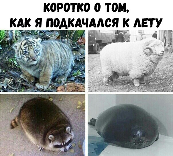 КОРОТКО О ТОМ КАК Я ПОДКАЧАДОЯ К АЕТУ
