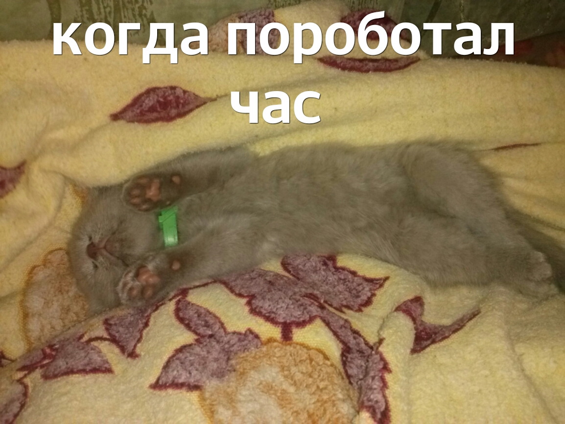 когда пороботал час