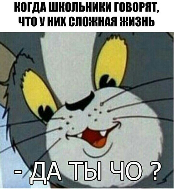 МДА ШНПЛЬНИНИ ГПБПРПТ ЧЮ НИК сложили ЖИЗНЬ
