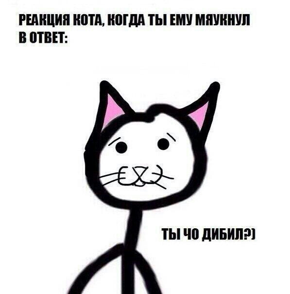 РЕМЩИП ШПД ВШМ ТЫ ЕМУ ШШШ В ВП ты чо дИБИПШ