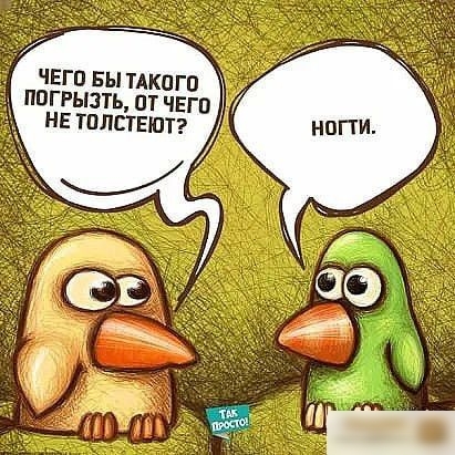 чЕгп БЫТАКПГП погрызть пт ЧЕГП а 1 не толстеют