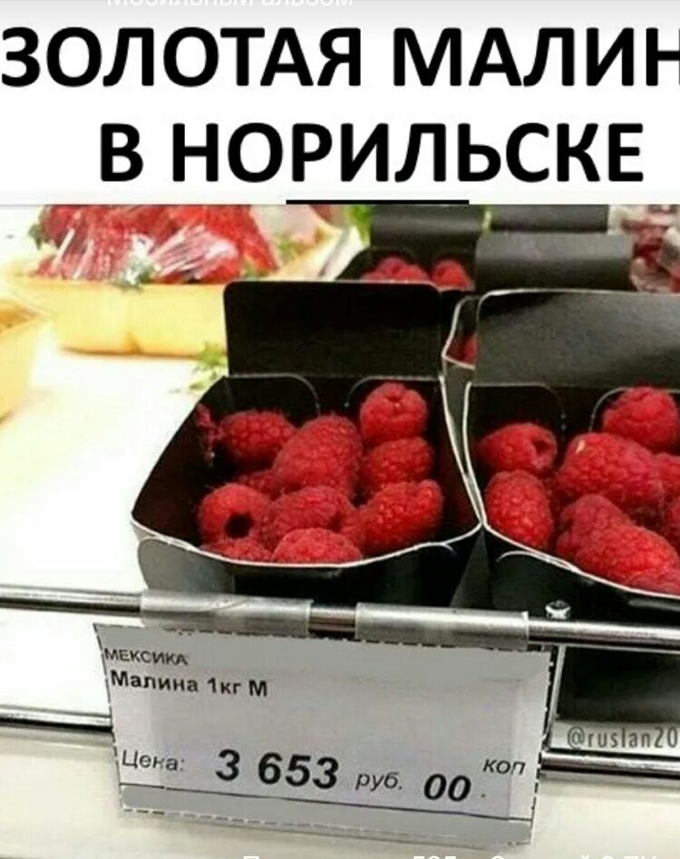 золотдя МАЛИН _внорильскд За ППППП