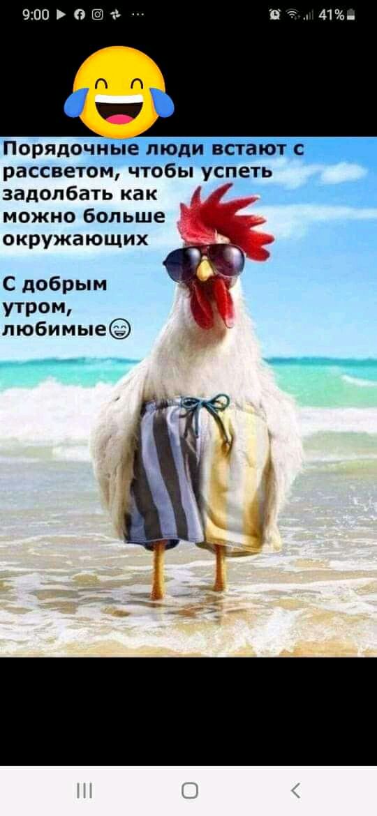 Порядоч рассветом ы у ть задолбать как _ 1 и можно больше окружающих С добрым утром любимые