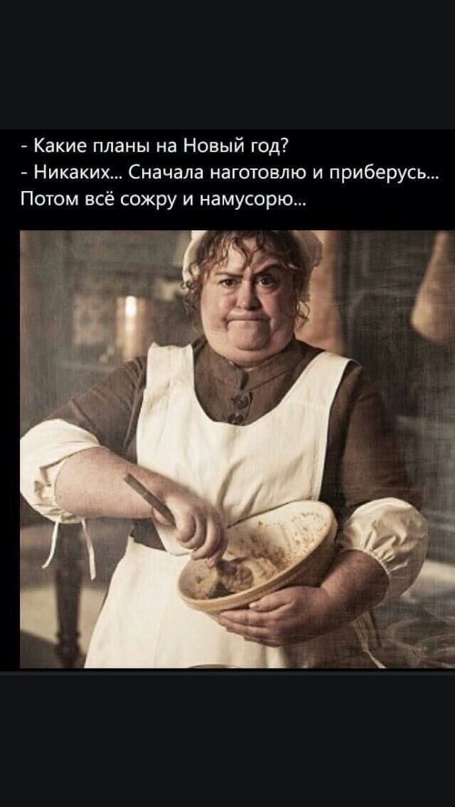 Какие планы на Новый год Никаких Сначала наготовлю и приберусь Потом всё сожру и намусорю