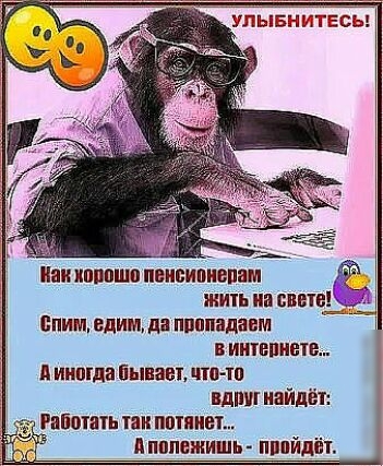 как ипппшп пвисипиепвм жить на свет сним Едим да ппппндавм в интвпнеш А иногда Пыпаш итп ш вдпш найдёт Рапошть таи потянет А ппппжишь пппйдііт