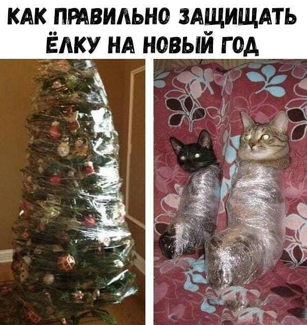 кдк птвидьно ЗАЩИЩАТЬ Ёдку НА новыи год И