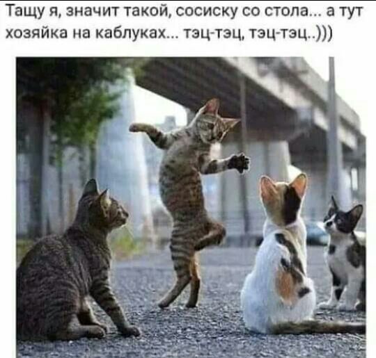 Тащу и значит такой сосиску со стола а тут хозяйка на каблуках тзц тэц тэц тэц
