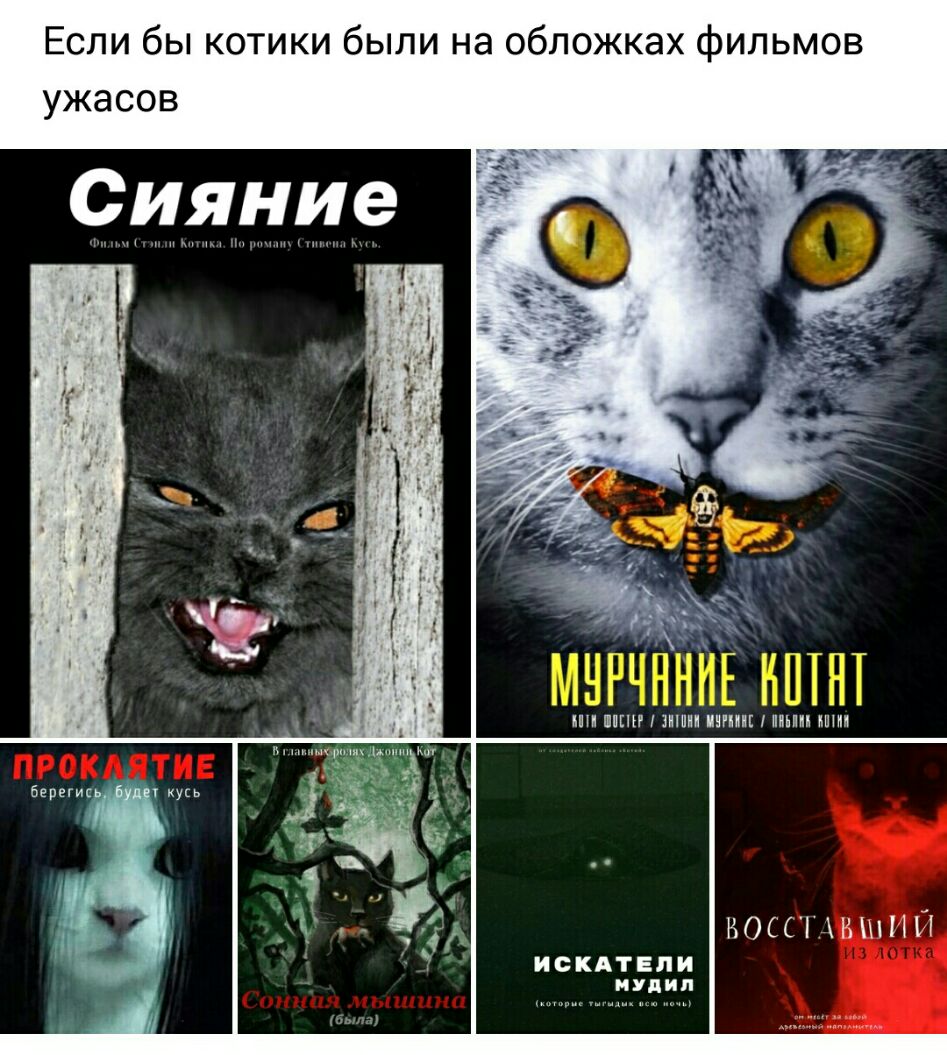 Если бы котики были на обложках фильмов ужасов ППШ ЛН ИППП ПММ МИМ ЛЫ Н ИСКАТЕПИ нулип