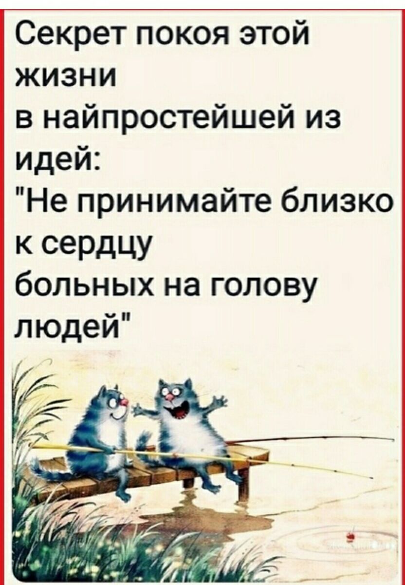 Секрет покоя этой жизни в найпростейшей из идей Не принимайте близко Кщщ больных на голову