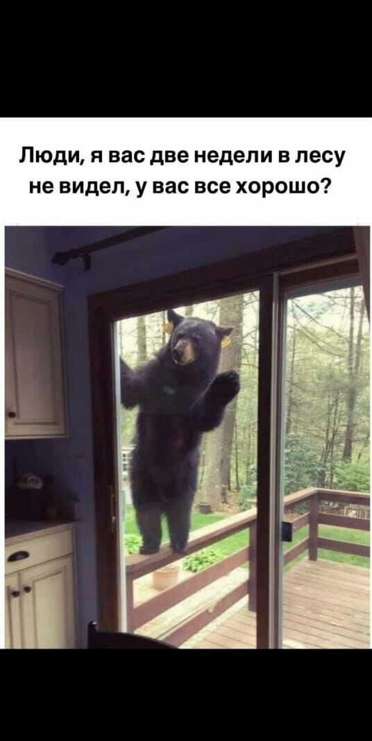Люди я вас две недели в лесу не видел у вас все хорошо